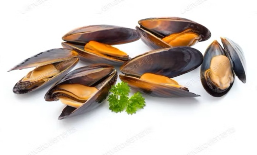 MEJILLON COCIDO EN SU JUGO (AL VACIO)